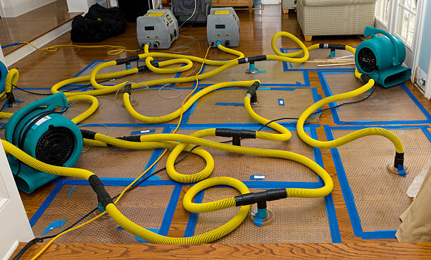 Professional Burst Pipe Water Damage technician working in Carbon, TX